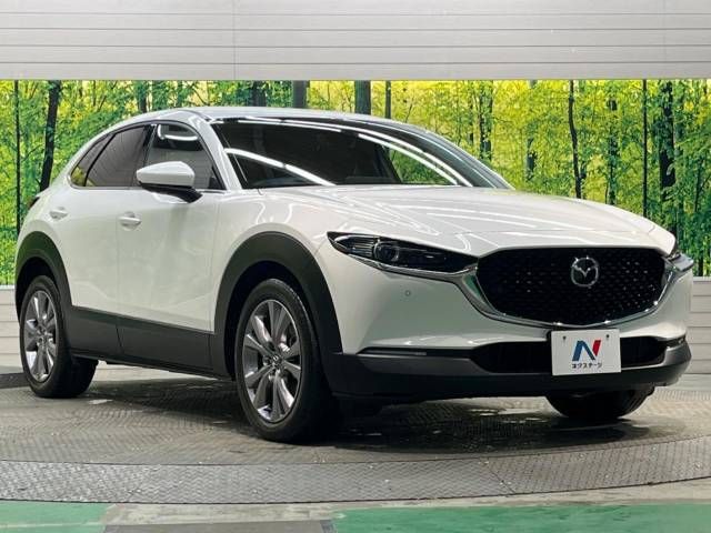 Mazda CX-30 2019-10 22385-16