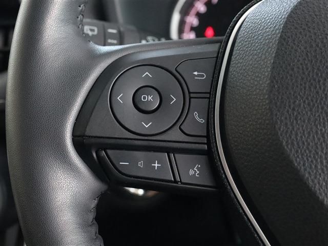 Toyota RAV4 2021-01 18944-26