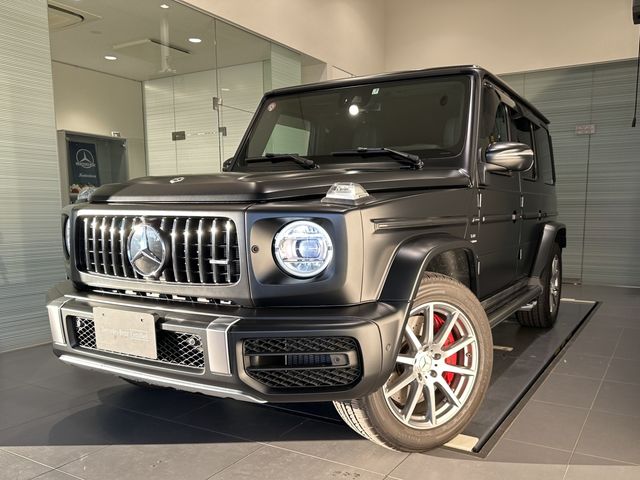 Amg G-CLASS 2021-07 19785-0