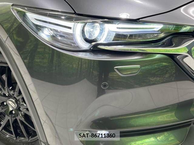 Mazda CX-8 2019-03 266260-13