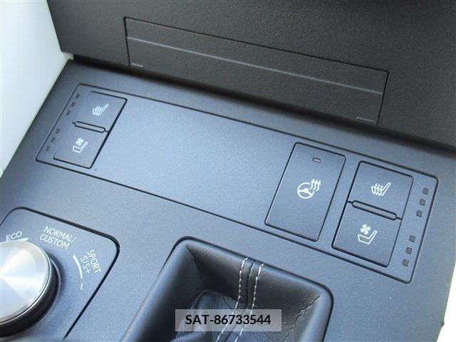 Lexus RC 2019-05 300000-7