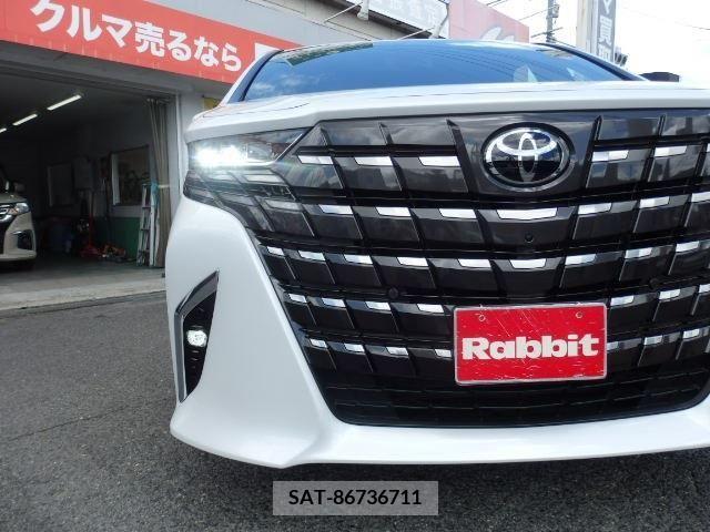 Toyota ALPHARD 2023-07 387264-8