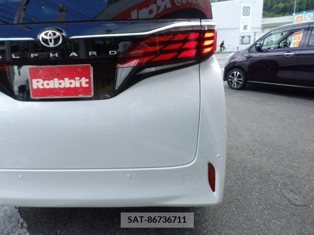 Toyota ALPHARD 2023-07 387264-14