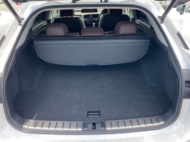 Lexus RX 2016-04 6018-13