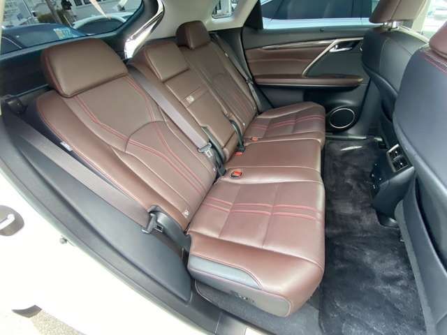 Lexus RX 2016-04 6018-10