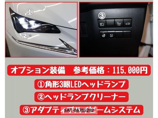 Lexus NX 2017-10 388317-14