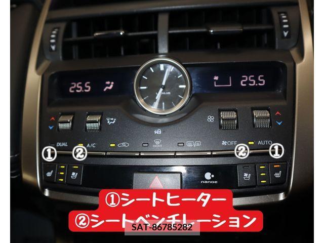 Lexus NX 2017-10 388317-18