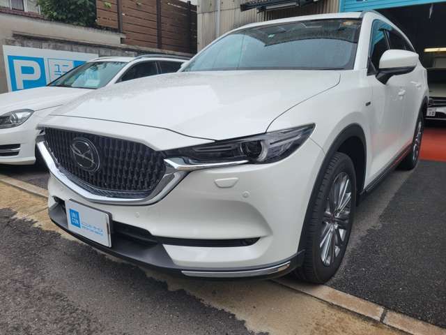 Mazda CX-8 2021-05 11962-1