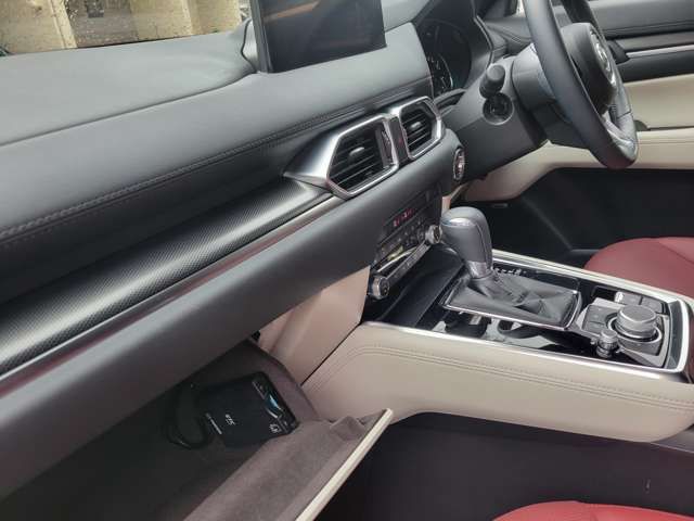 Mazda CX-8 2021-05 11962-17