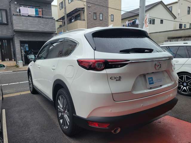 Mazda CX-8 2021-05 11962-4