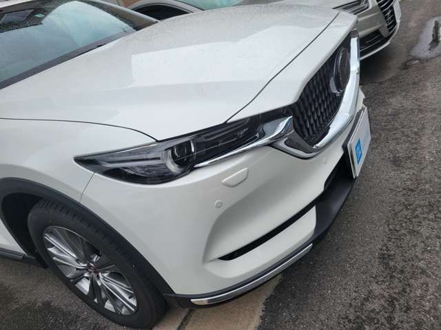 Mazda CX-8 2021-05 11962-7