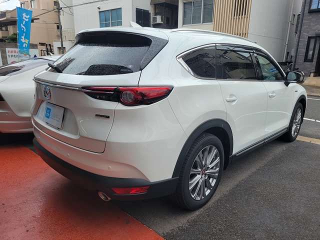 Mazda CX-8 2021-05 11962-6