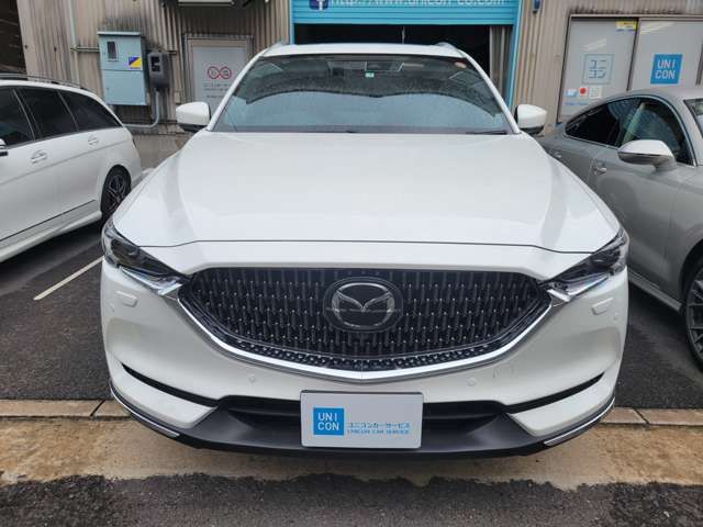 Mazda CX-8 2021-05 11962-2