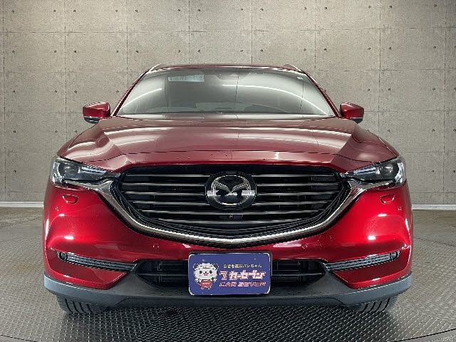 Mazda CX-8 2018-10 6954-4