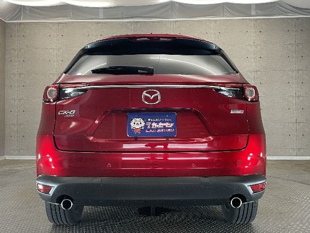 Mazda CX-8 2018-10 6954-6