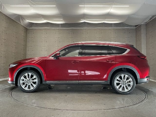 Mazda CX-8 2018-10 6954-8
