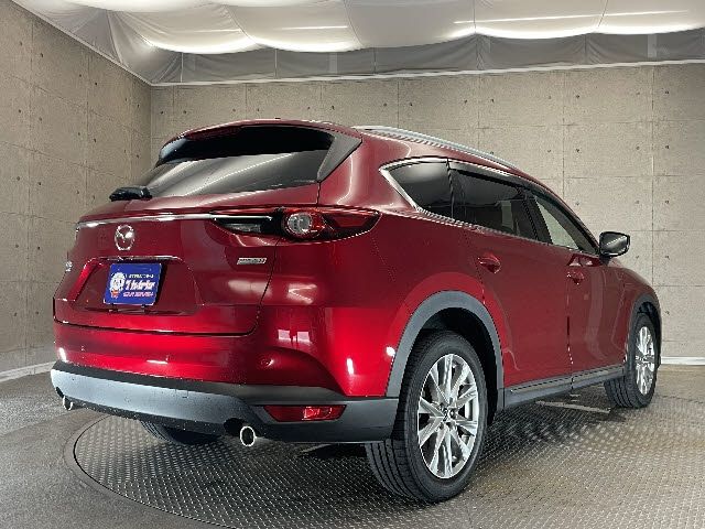 Mazda CX-8 2018-10 6954-3