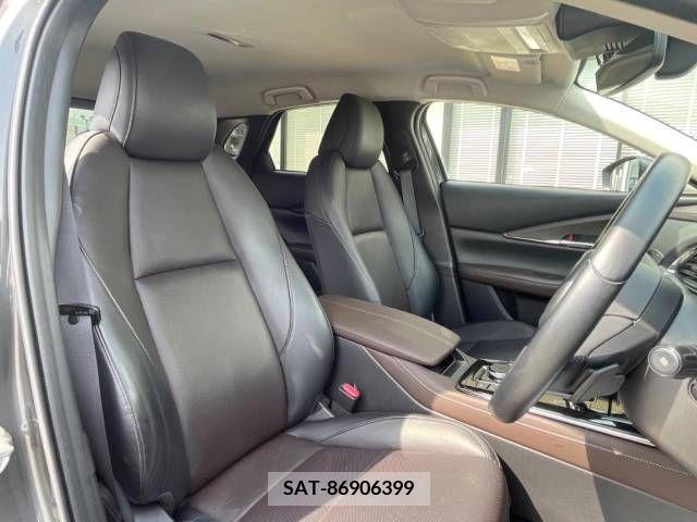 Mazda CX-30 2019-10 295608-9