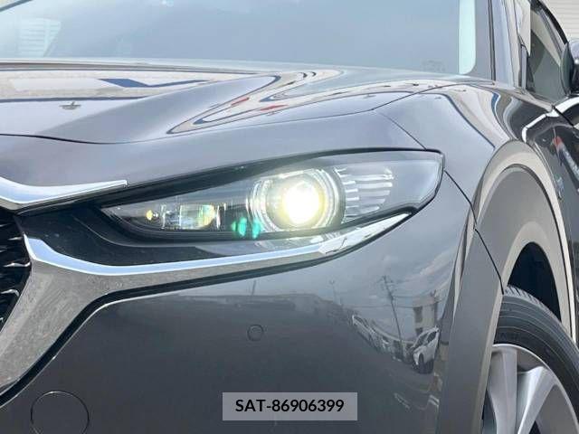 Mazda CX-30 2019-10 295608-13