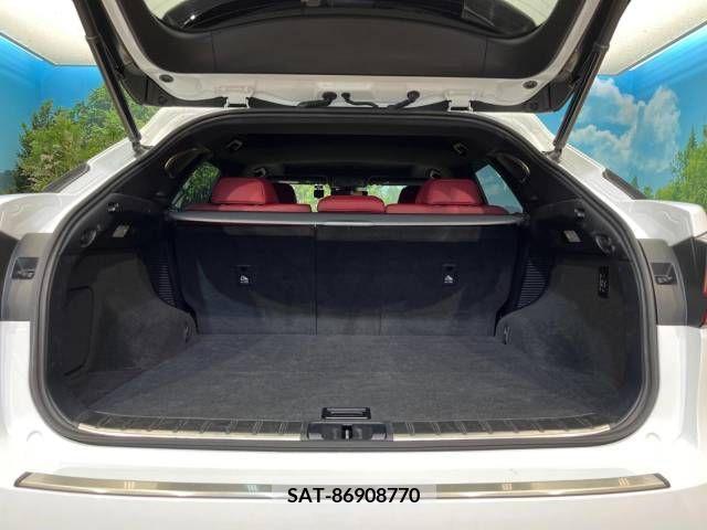 Lexus RX 2019-02 275855-10