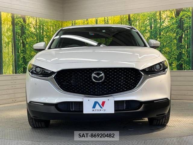 Mazda CX-30 2023-03 219546-14
