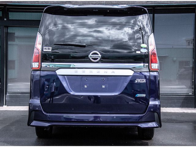 Nissan SERENA 2018-07 12313-7