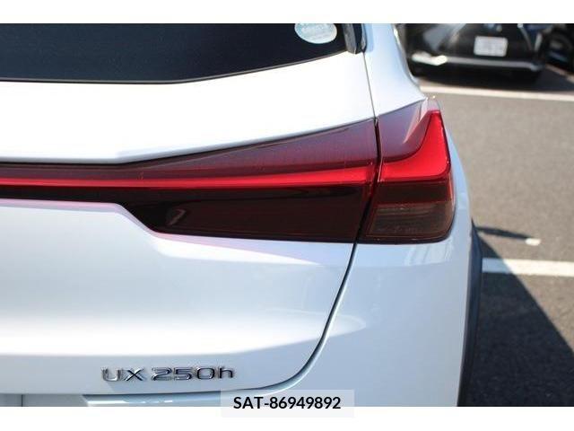 Lexus UX 2019-07 363074-11