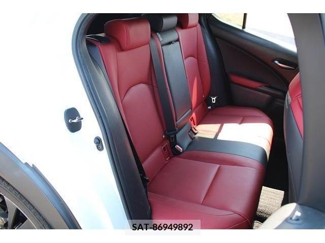 Lexus UX 2019-07 363074-14