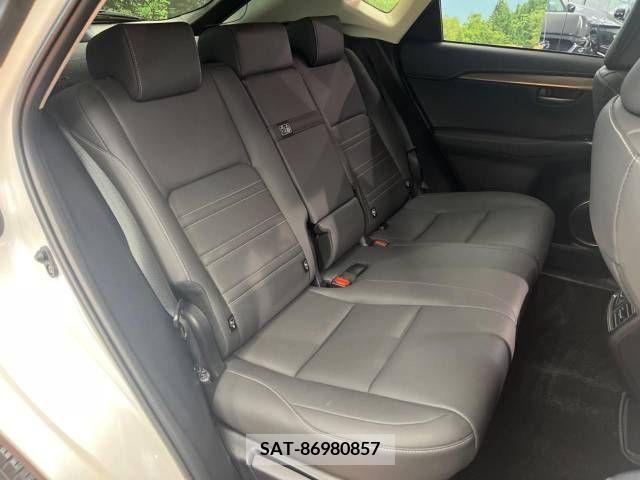 Lexus NX 2021-04 334383-9