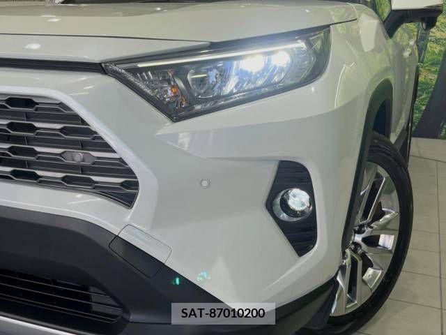 Toyota RAV4 2019-05 393575-13