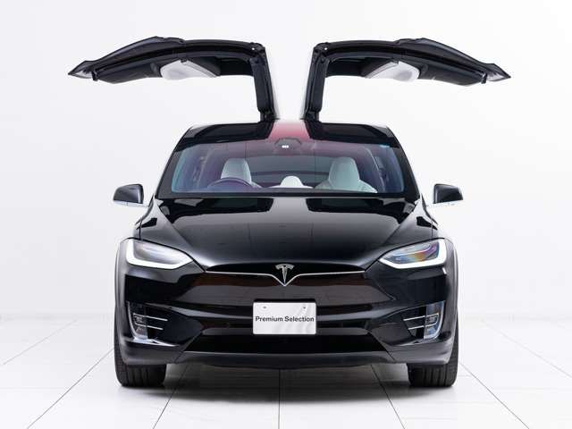 Tesla MODEL X 2019-03 6566-7