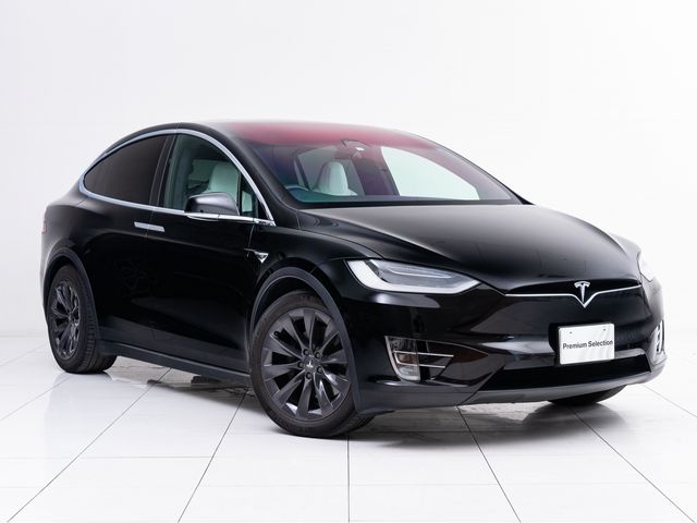 Tesla MODEL X 2019-03 6566-0