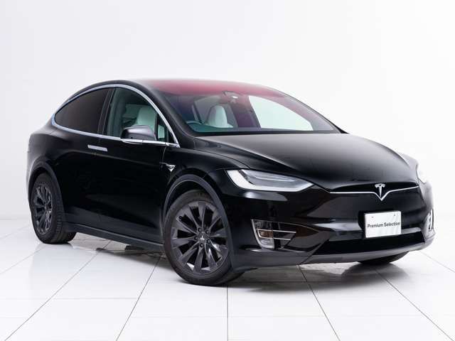 Tesla MODEL X 2019-03 6566-16