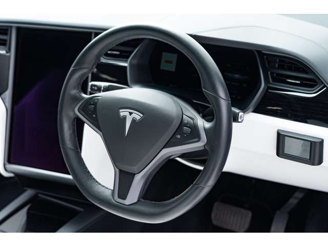 Tesla MODEL X 2019-03 6566-19