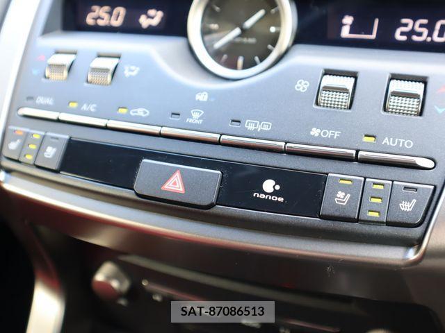 Lexus NX 2018-04 208422-16
