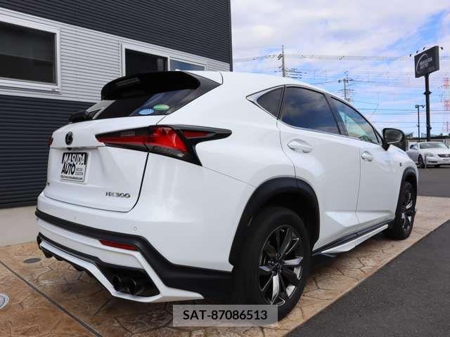 Lexus NX 2018-04 208422-6