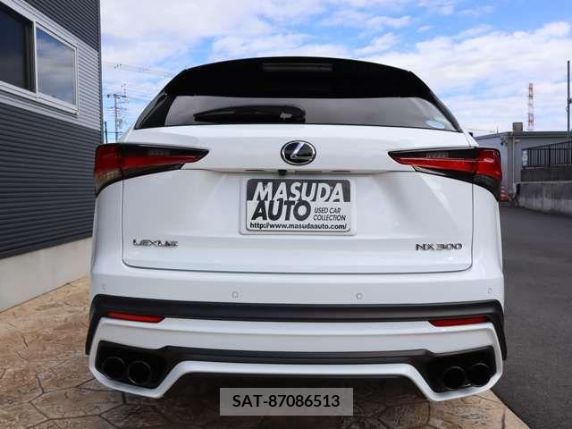 Lexus NX 2018-04 208422-5