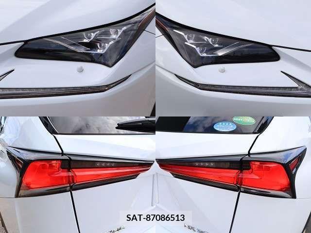Lexus NX 2018-04 208422-28
