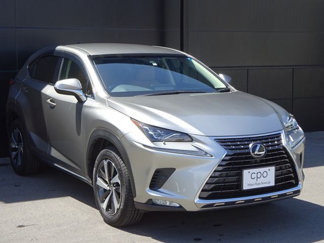 Lexus NX 2018-07 3798-2