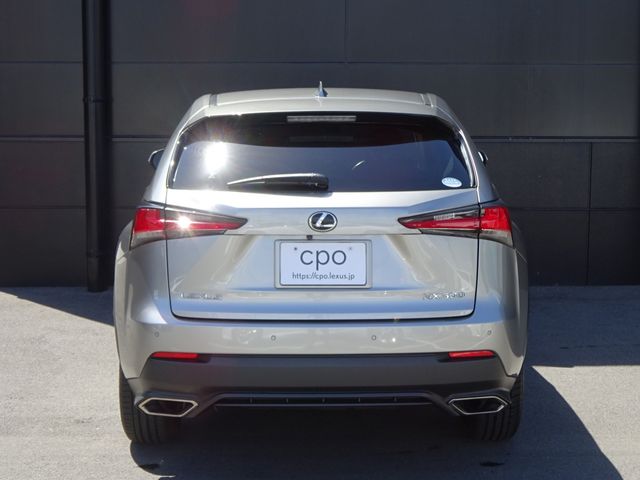 Lexus NX 2018-07 3798-4