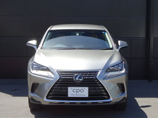 Lexus NX 2018-07 3798-1