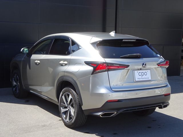 Lexus NX 2018-07 3798-5