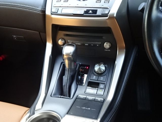 Lexus NX 2018-07 3798-17