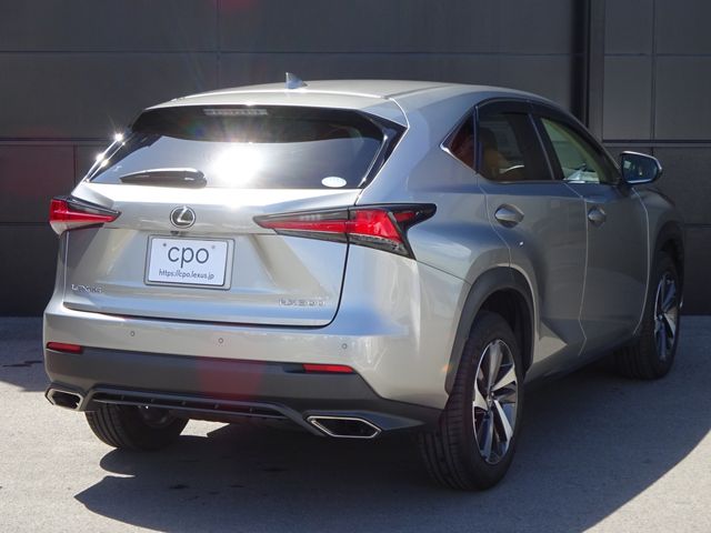 Lexus NX 2018-07 3798-3