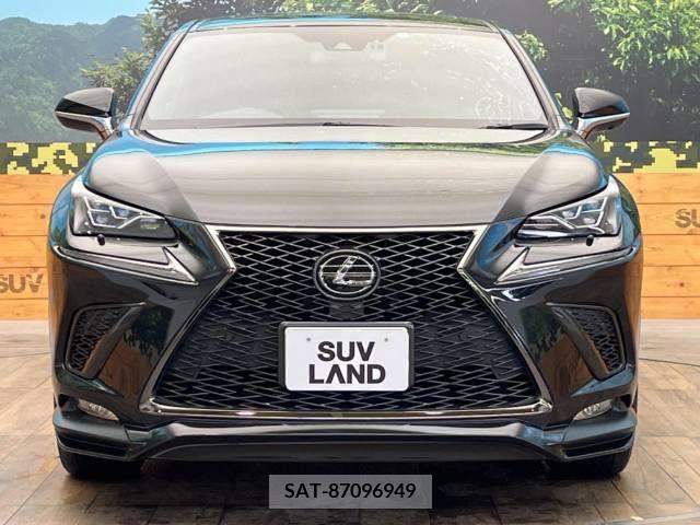 Lexus NX 2019-08 275634-13