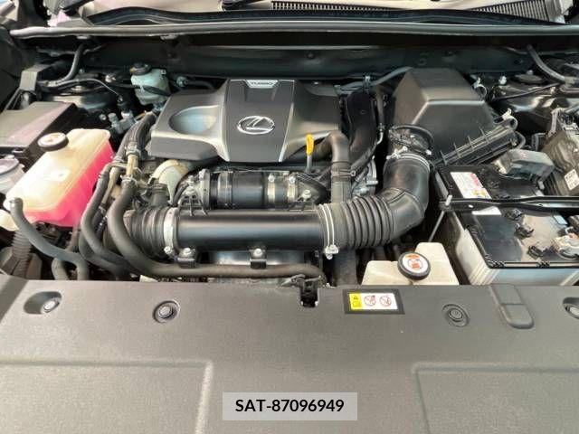Lexus NX 2019-08 275634-17