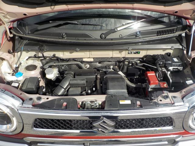 Suzuki HUSTLER 2021-01 10565-12