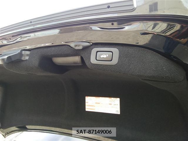 Lexus LS 2015-01 316820-19