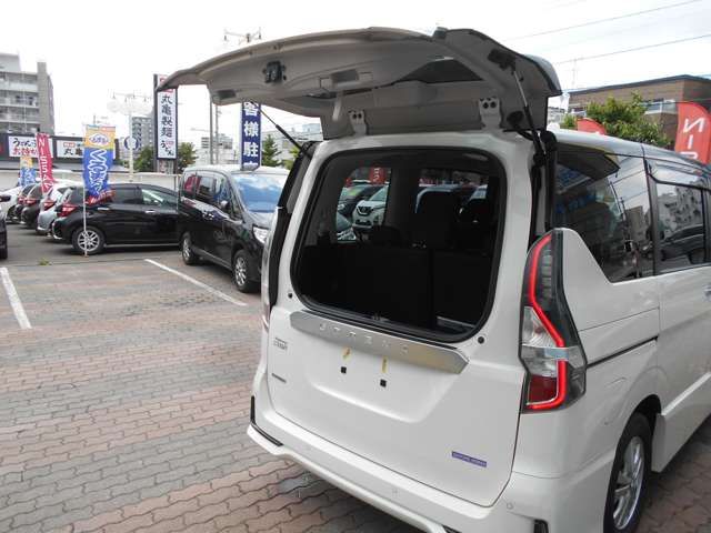 Nissan SERENA 2020-06 5264-12
