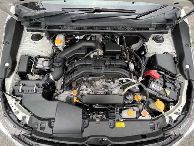 Subaru IMPREZA 2016-11 20731-19